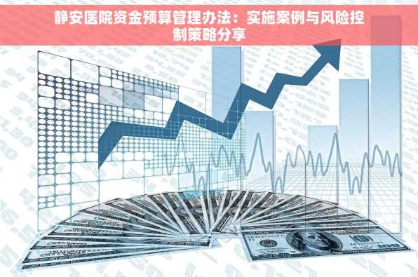静安医院资金预算管理办法：实施案例与风险控制策略分享