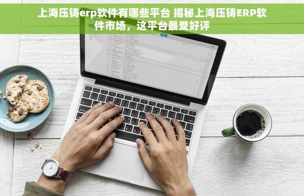 上海压铸erp软件有哪些平台 揭秘上海压铸ERP软件市场，这平台最受好评
