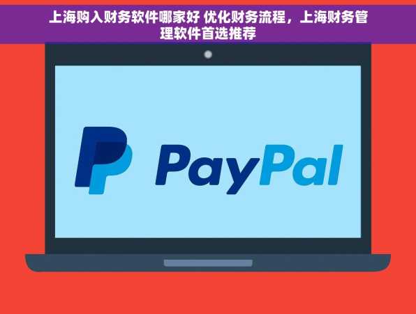 上海购入财务软件哪家好 优化财务流程，上海财务管理软件首选推荐