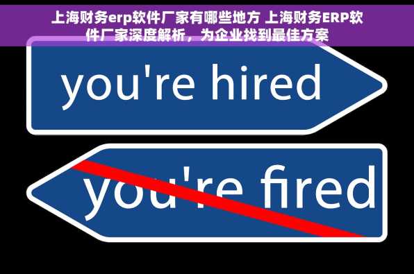 上海财务erp软件厂家有哪些地方 上海财务ERP软件厂家深度解析，为企业找到最佳方案
