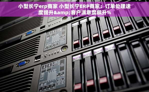 小型长宁erp商家 小型长宁ERP商家：订单处理速度提升&客户满意度飙升%