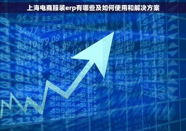 上海电商服装erp有哪些及如何使用和解决方案