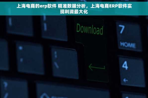 上海电商的erp软件 精准数据分析，上海电商ERP软件实现利润最大化