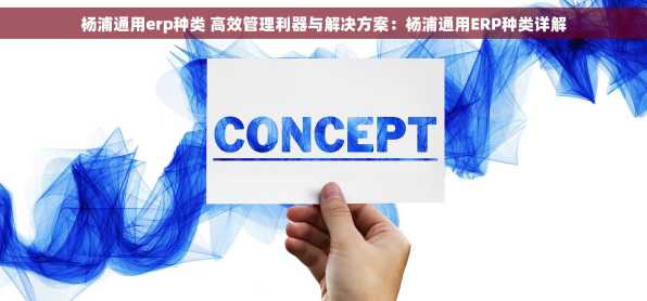 杨浦通用erp种类 高效管理利器与解决方案：杨浦通用ERP种类详解