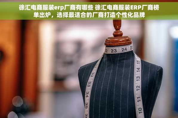 徐汇电商服装erp厂商有哪些 徐汇电商服装ERP厂商榜单出炉，选择最适合的厂商打造个性化品牌