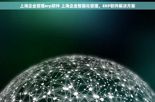 上海企业管理erp软件 上海企业智能化管理，ERP软件解决方案
