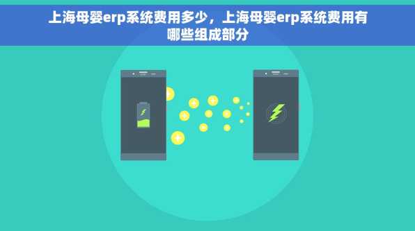 上海母婴erp系统费用多少，上海母婴erp系统费用有哪些组成部分