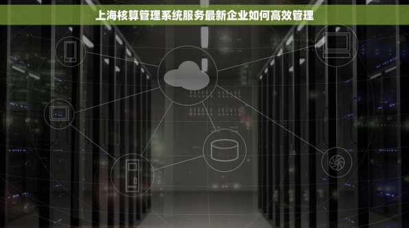 上海核算管理系统服务最新企业如何高效管理