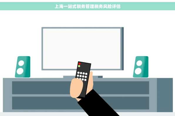 上海一站式税务管理税务风险评估