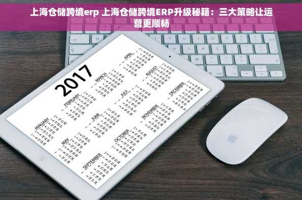 上海仓储跨境erp 上海仓储跨境ERP升级秘籍：三大策略让运营更顺畅