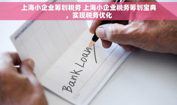 上海小企业筹划税务 上海小企业税务筹划宝典，实现税务优化