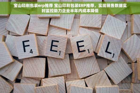 宝山印刷包装erp推荐 宝山印刷包装ERP推荐，实现销售数据实时监控助力企业半年内成本降低