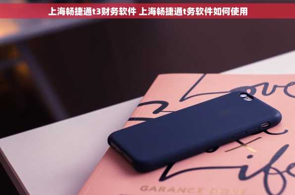 上海畅捷通t3财务软件 上海畅捷通t务软件如何使用