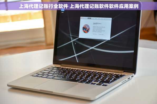 上海代理记账行业软件 上海代理记账软件软件应用案例