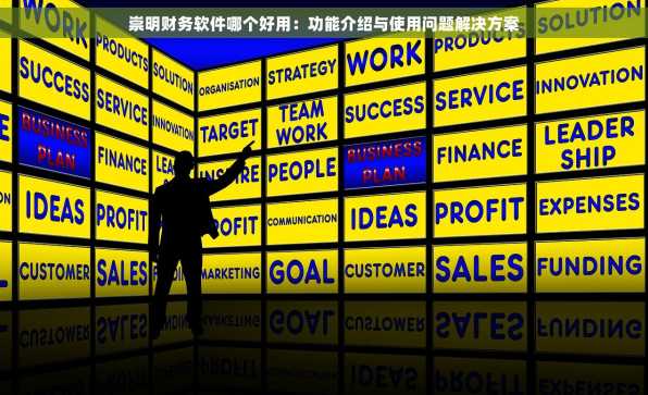 崇明财务软件哪个好用：功能介绍与使用问题解决方案
