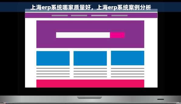 上海erp系统哪家质量好，上海erp系统案例分析