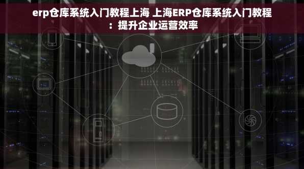 erp仓库系统入门教程上海 上海ERP仓库系统入门教程：提升企业运营效率