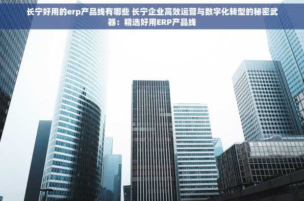 长宁好用的erp产品线有哪些 长宁企业高效运营与数字化转型的秘密武器：精选好用ERP产品线