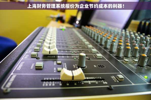 上海财务管理系统报价为企业节约成本的利器！