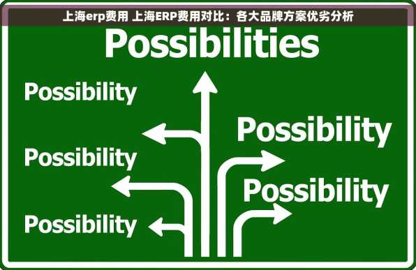 上海erp费用 上海ERP费用对比：各大品牌方案优劣分析