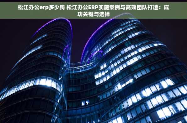 松江办公erp多少钱 松江办公ERP实施案例与高效团队打造：成功关键与选择