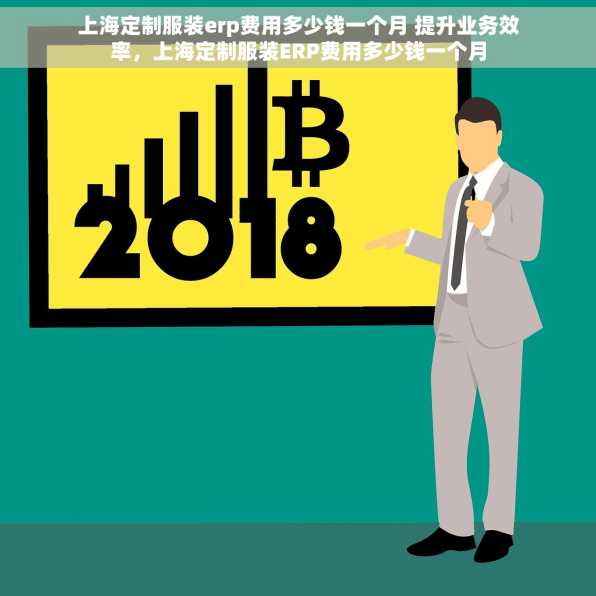 上海定制服装erp费用多少钱一个月 提升业务效率，上海定制服装ERP费用多少钱一个月