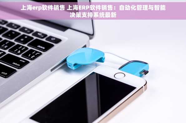 上海erp软件销售 上海ERP软件销售：自动化管理与智能决策支持系统最新