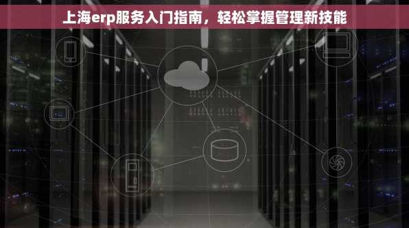 上海erp服务入门指南，轻松掌握管理新技能