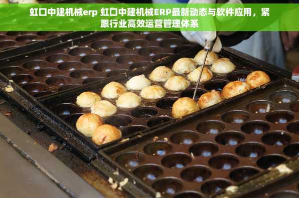 虹口中建机械erp 虹口中建机械ERP最新动态与软件应用，紧跟行业高效运营管理体系