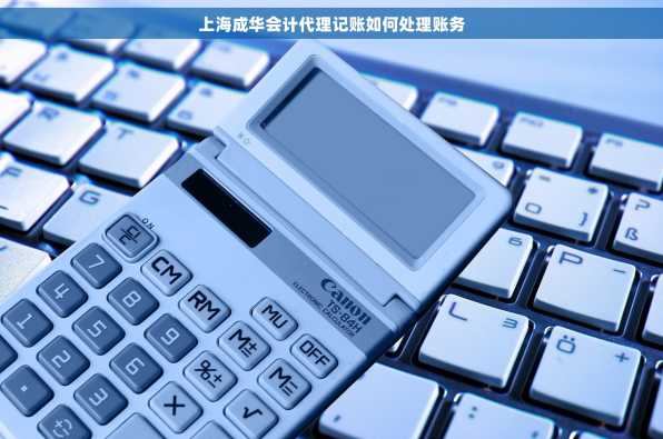 上海成华会计代理记账如何处理账务