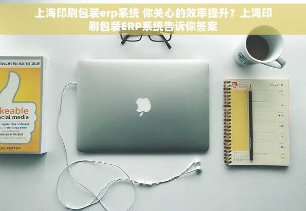 上海印刷包装erp系统 你关心的效率提升？上海印刷包装ERP系统告诉你答案