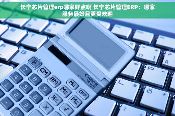 长宁芯片管理erp哪家好点啊 长宁芯片管理ERP：哪家服务最好且更受欢迎
