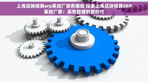 上海压铸模具erp系统厂家有哪些 探索上海压铸模具ERP系统厂家：高效管理的新时代
