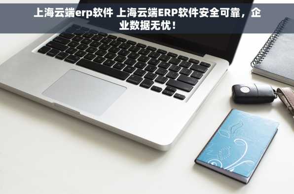 上海云端erp软件 上海云端ERP软件安全可靠，企业数据无忧！