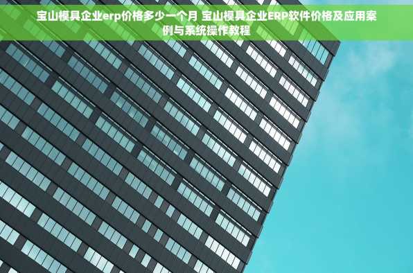 宝山模具企业erp价格多少一个月 宝山模具企业ERP软件价格及应用案例与系统操作教程