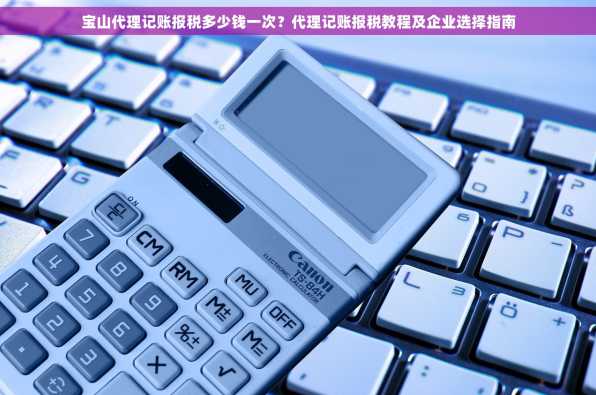 宝山代理记账报税多少钱一次？代理记账报税教程及企业选择指南