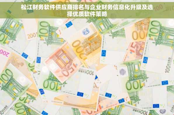 松江财务软件供应商排名与企业财务信息化升级及选择优质软件策略