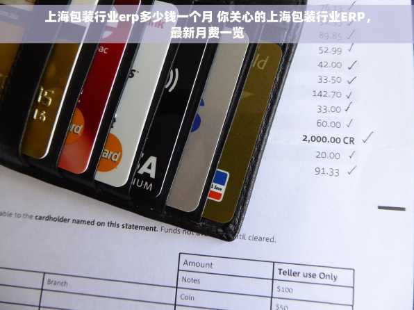 上海包装行业erp多少钱一个月 你关心的上海包装行业ERP，最新月费一览
