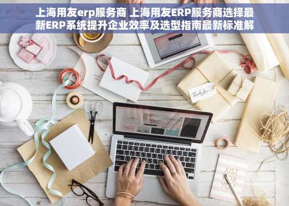 上海用友erp服务商 上海用友ERP服务商选择最新ERP系统提升企业效率及选型指南最新标准解读