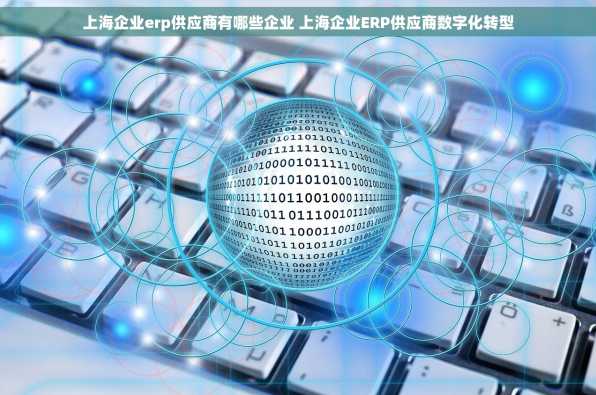 上海企业erp供应商有哪些企业 上海企业ERP供应商数字化转型