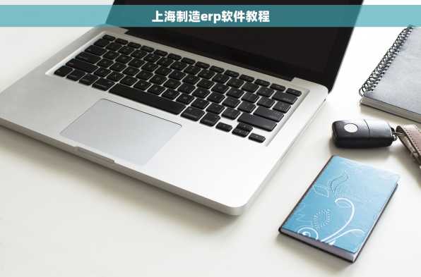 上海制造erp软件教程