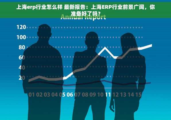 上海erp行业怎么样 最新报告：上海ERP行业前景广阔，你准备好了吗？