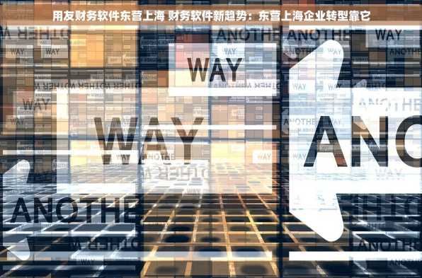 用友财务软件东营上海 财务软件新趋势：东营上海企业转型靠它