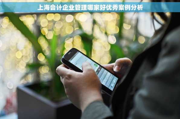 上海会计企业管理哪家好优秀案例分析