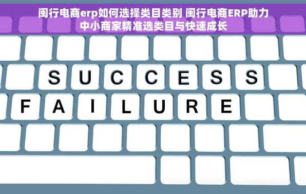 闽行电商erp如何选择类目类别 闽行电商ERP助力中小商家精准选类目与快速成长