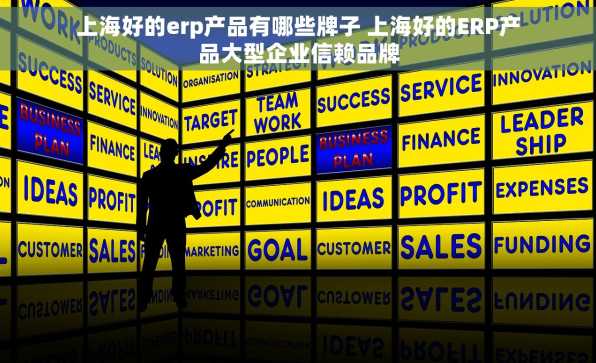 上海好的erp产品有哪些牌子 上海好的ERP产品大型企业信赖品牌