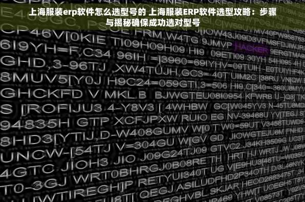 上海服装erp软件怎么选型号的 上海服装ERP软件选型攻略：步骤与揭秘确保成功选对型号