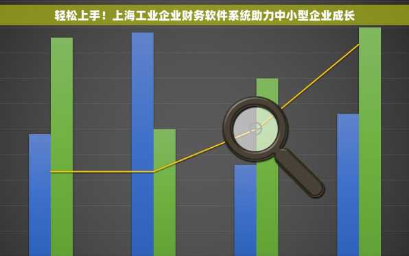 轻松上手！上海工业企业财务软件系统助力中小型企业成长