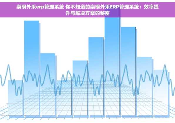 崇明外采erp管理系统 你不知道的崇明外采ERP管理系统：效率提升与解决方案的秘密