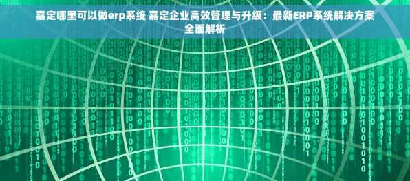 嘉定哪里可以做erp系统 嘉定企业高效管理与升级：最新ERP系统解决方案全面解析